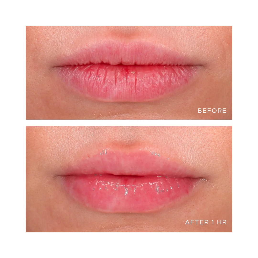 AN-GLOSS Ceramide Lip Treatment - Berry Crumble