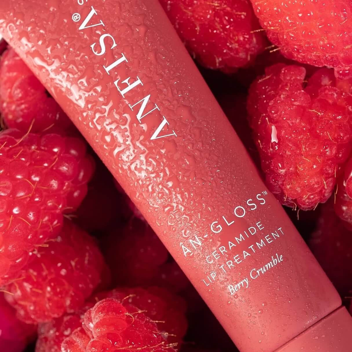 AN-GLOSS Ceramide Lip Treatment - Berry Crumble